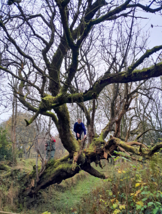 Miss Harrop's Class at Healey Dell