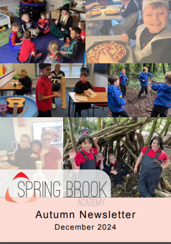 Spring Brook Lower - Autumn Newsletter (December 2024)