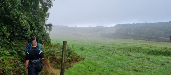 Bickerton