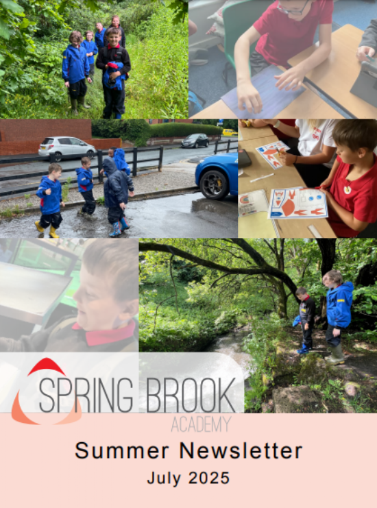 Spring Brook Academy - Spring Brook Lower Summer Newsletter - July 2025