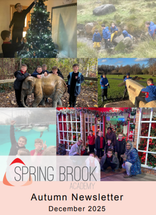 Spring Brook Academy - Spring Brook Lower Autumn Newsletter December 2025