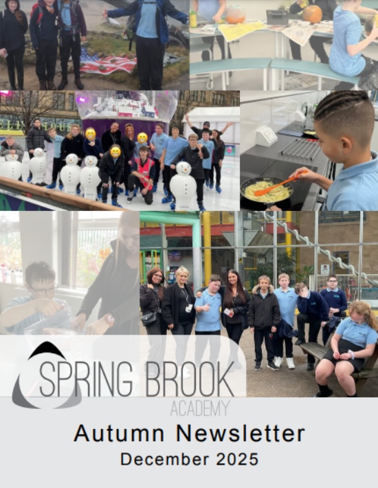 Spring Brook Academy - Spring Brook Upper Autumn Newsletter December 2025